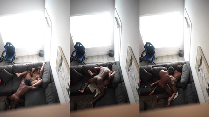 Fly On The Wall SD (2026)