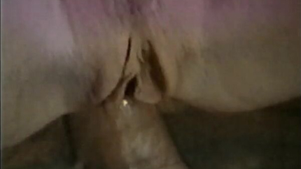 Fantastic Cumshot Compilation Cumpilation 8 Retro VHS Collection SD (2026)