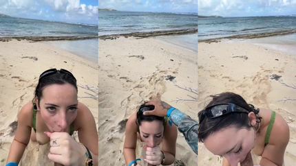 Brunette Chick Sucking Dick At The Beach SD (2026)