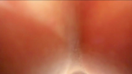 4 Perfect Latinas Take Turns Sucking Cock SD (2026)