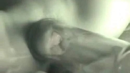 Amateur Closeup Pumping Pussy And Dildo Anal - Double Vaginal, Big Toys [HD/Mp4/1000 MB]