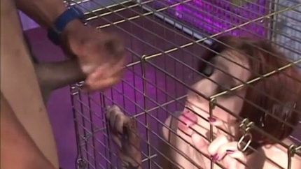 It's Feeding Time, Caged Bitch! (Bizar) SD (2026)