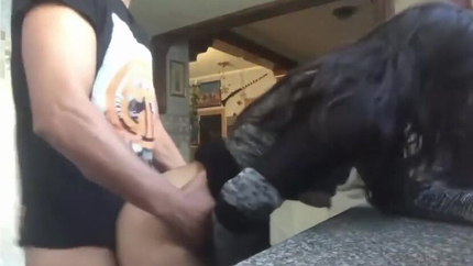 Delhi Callboy ( Insta & Telegram- @bulldelhi9 ) Contact Me For Sex , Unsatisfied, Divorce, Widow Women, Girl, Lady Can Contact Me For Satisfaction And Enjoyment It Will Be Amazing. Only Female Contact Me. Male Stay Away. Male Don't Contact. - Lady T. SD (