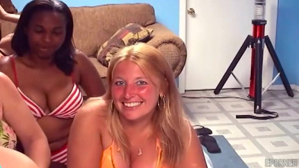 Group Of Round Chicks SD (2026)