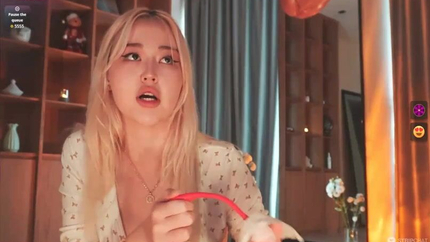 Coreana Se Mete Dildo Entero SD (2026)