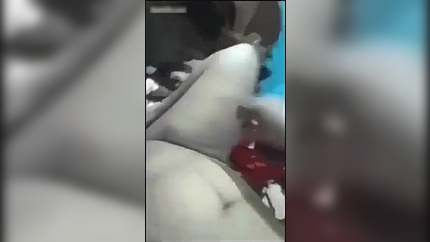 HInDI Desi Big Boob Bhabhi Sex With Husband SD (2026)